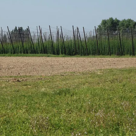 Au Bonheur Frontalier