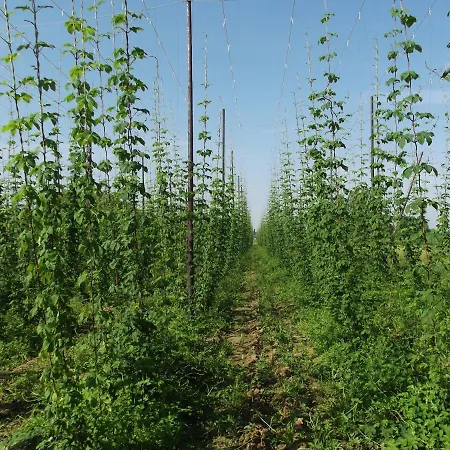 Au Bonheur Frontalier Bed and breakfast