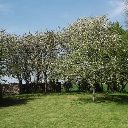 Au Bonheur Frontalier Bed & Breakfast Steenvoorde