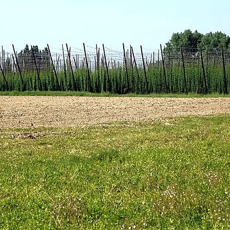 Au Bonheur Frontalier 3* Steenvoorde