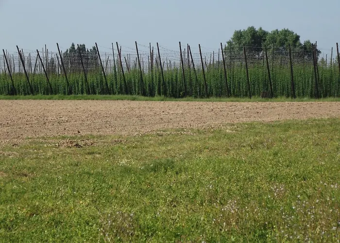 Au Bonheur Frontalier