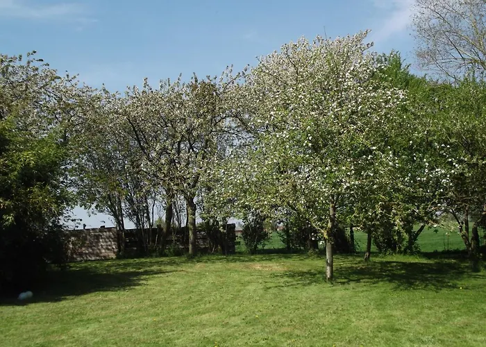 Au Bonheur Frontalier Couette-café Steenvoorde